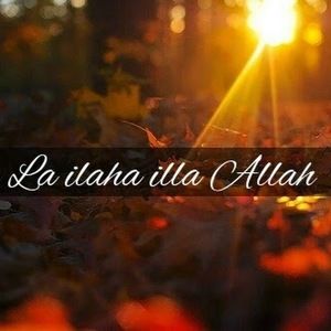 Meet your Posher, Md